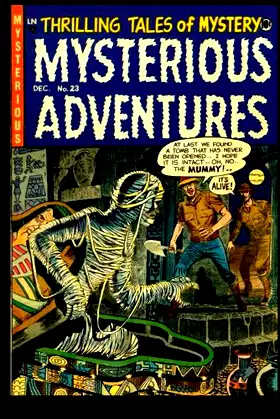 Mysterious Adventures #23: Tales Of Horror from the Beyond! poster