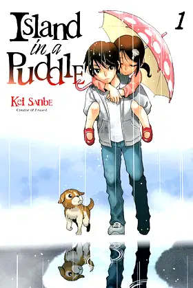 Island in a Puddle 1 poster