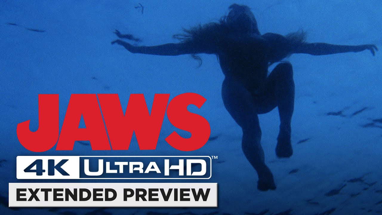 Opening Shark Attack in 4K