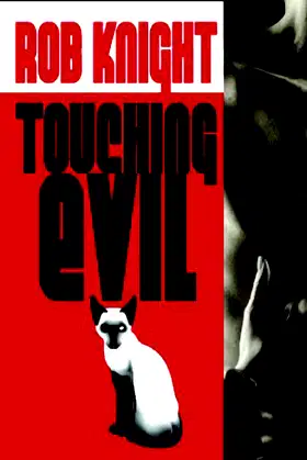 Touching Evil poster