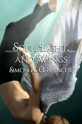 Soul, Light, and Wings poster