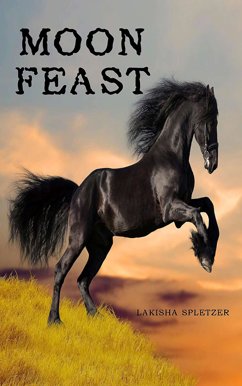 Moon Feast poster