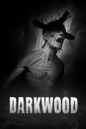 Darkwood poster