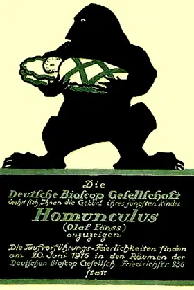 The Love Tragedy of the Homunculus poster