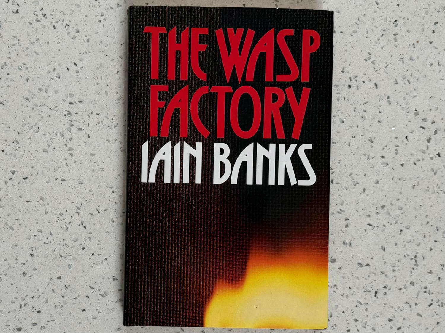 The Wasp Factory poster