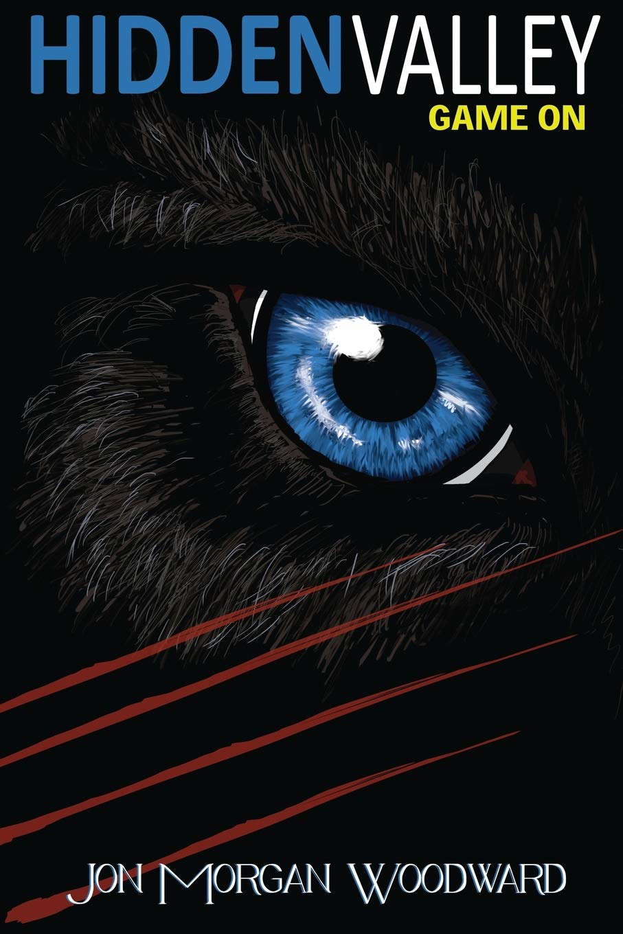 Hidden Valley: Game On poster