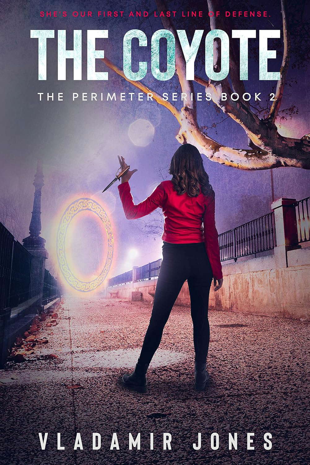 The Coyote: The Perimeter: Book 2 poster