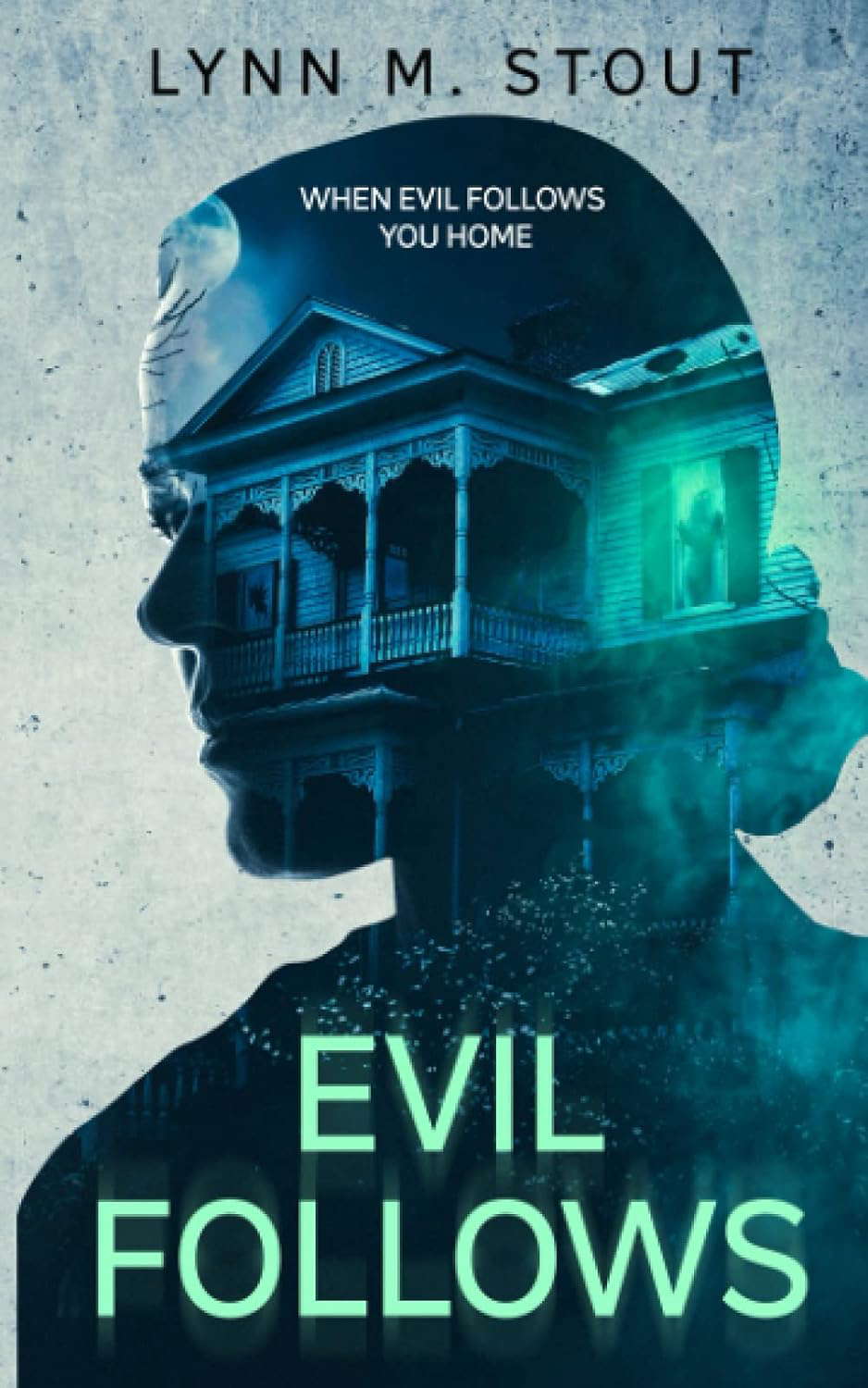 evil follows: When Evil Follows You Home poster