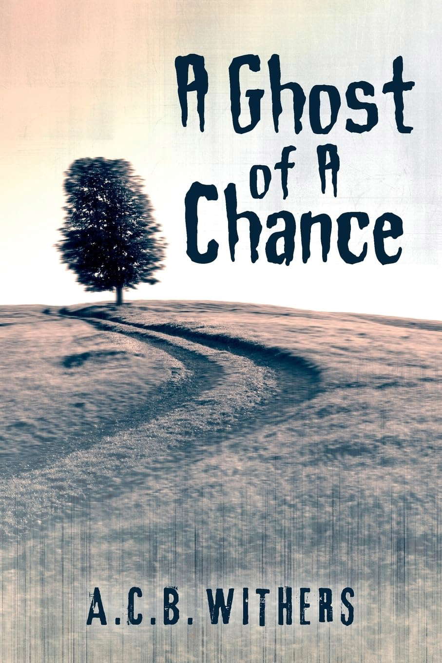 A Ghost of A Chance poster