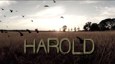 "Harold" Short Film poster