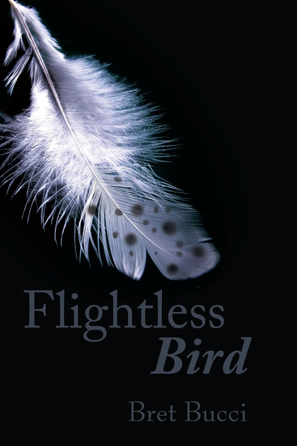 Flightless Bird poster