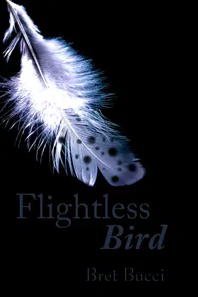 Flightless Bird poster
