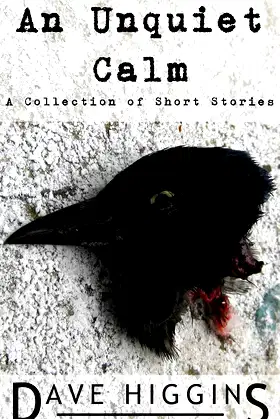 An Unquiet Calm: A Collection of Short Stories (Bespoke Imaginings Book 1) poster