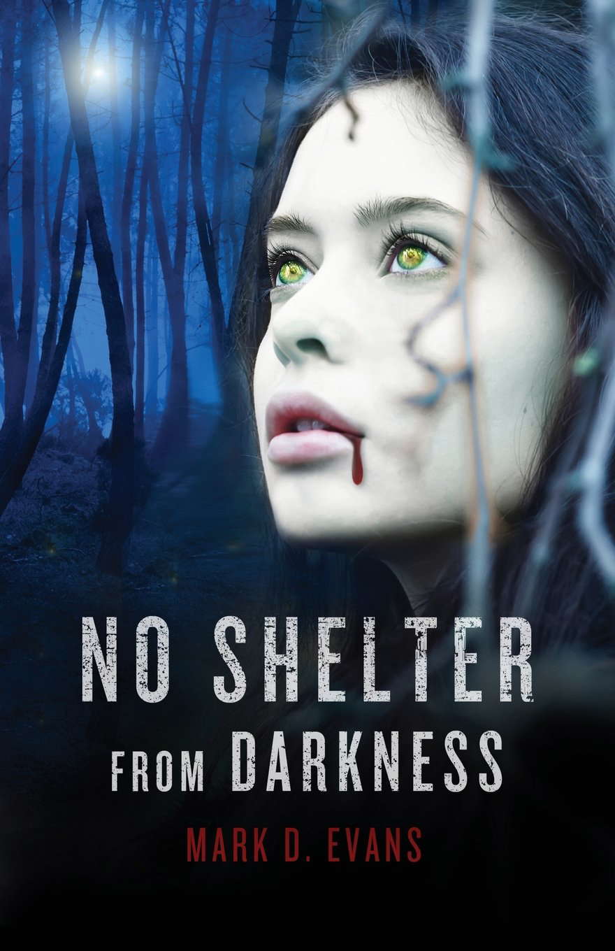 No Shelter from Darkness poster