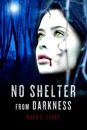 No Shelter from Darkness poster