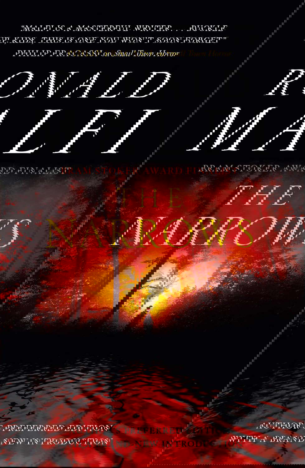 The Narrows poster