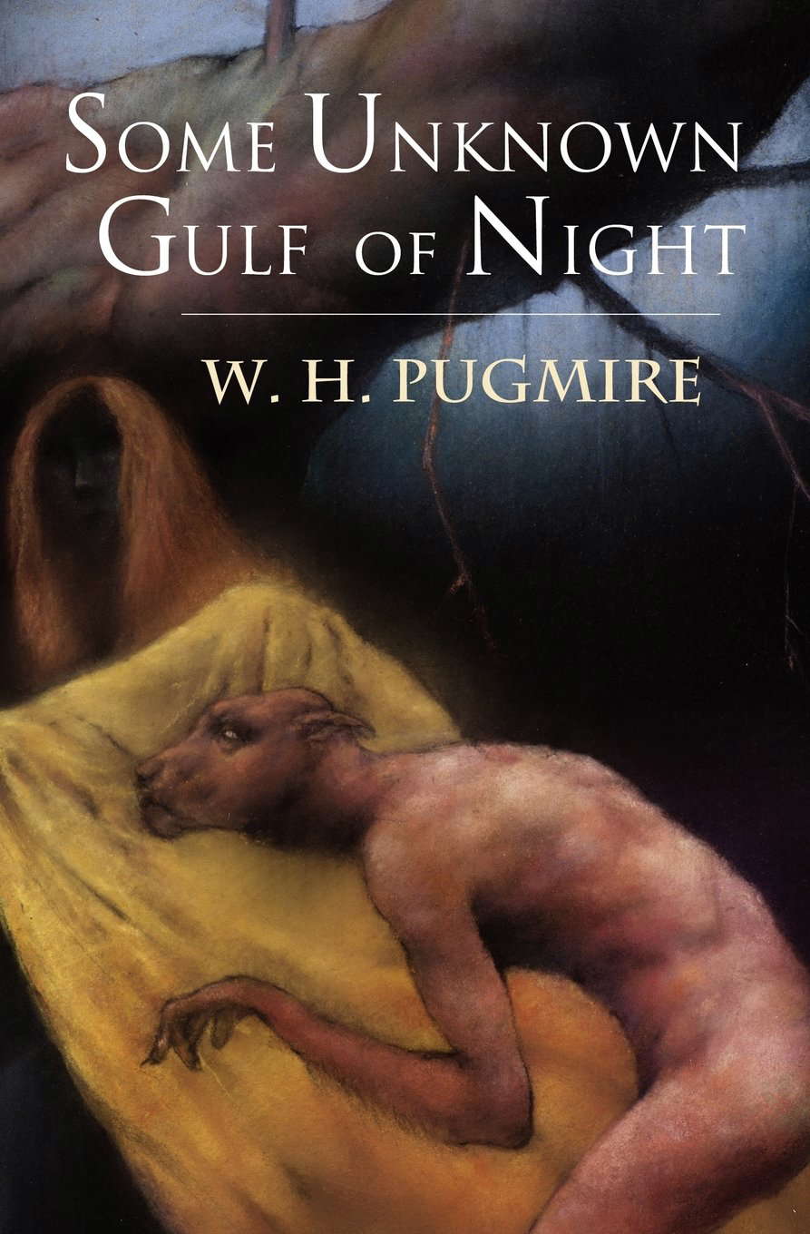 Some Unknown Gulf of Night poster