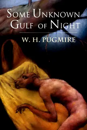 Some Unknown Gulf of Night poster