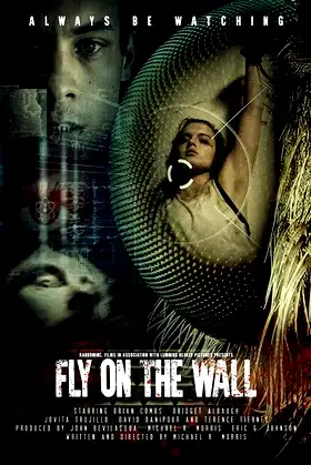 Fly on the Wall poster