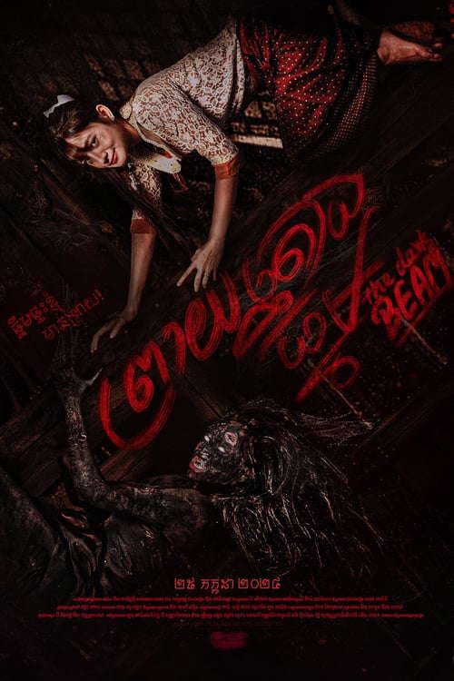 The Dark Beam poster