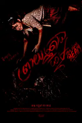 The Dark Beam poster