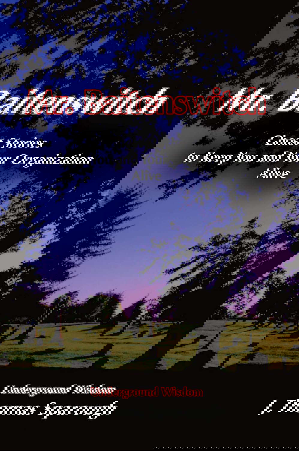 Mr. Baitenswitch: Ghost Stories to Keep You and Your Organization Alive poster