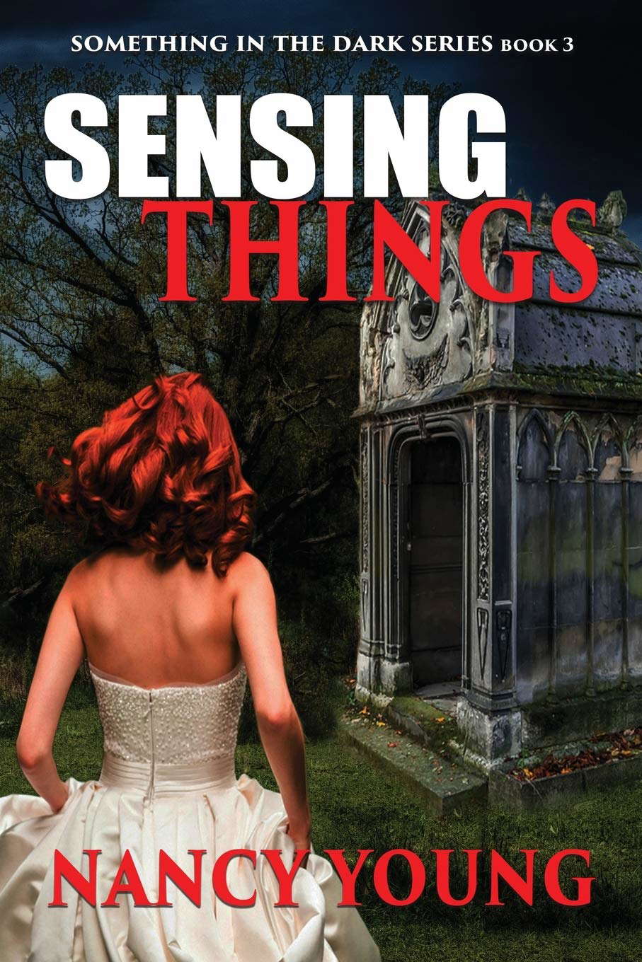 Sensing Things: Something in the Dark Series poster