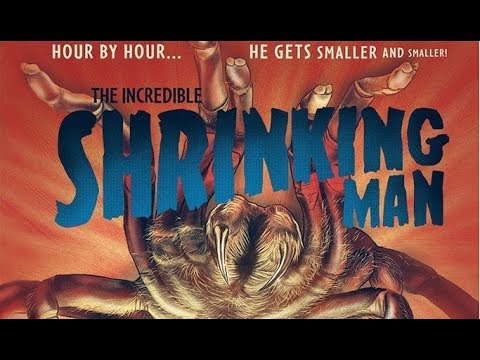 The Arrow Video Story