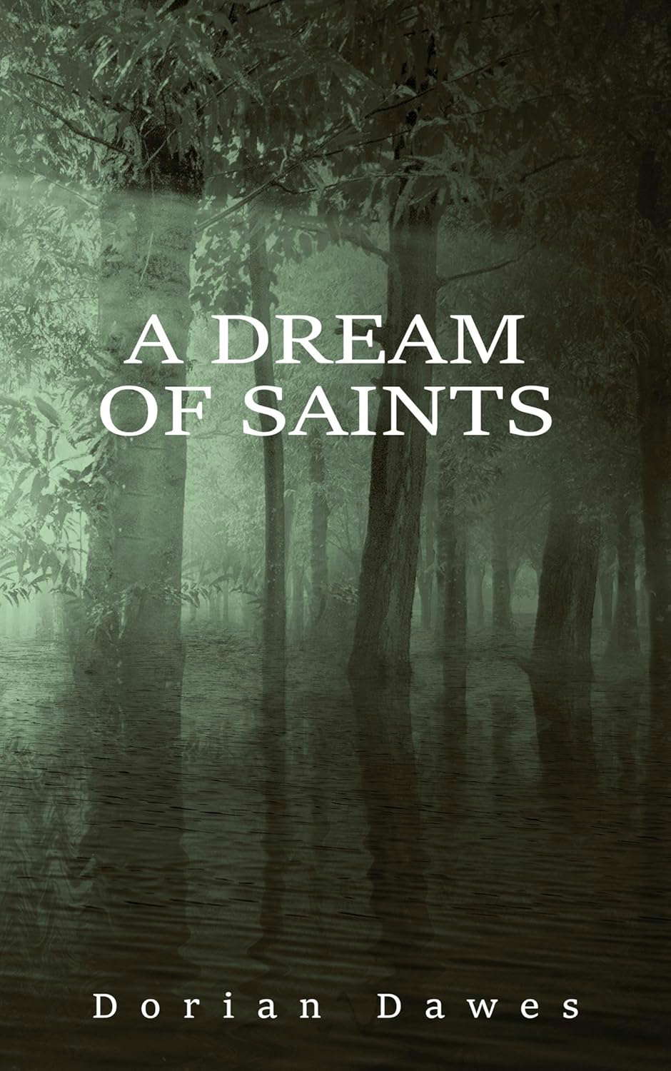 A Dream of Saints (Hell Hare House Short Reads Book 39) poster