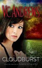 Family Storms [FAMILY STORMS] [Mass Market Paperback] poster