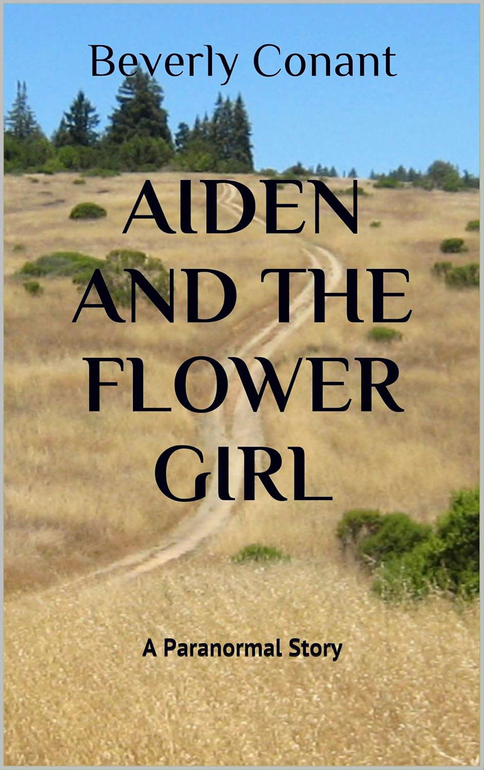 Aiden and the Flower Girl: A Paranormal Story poster