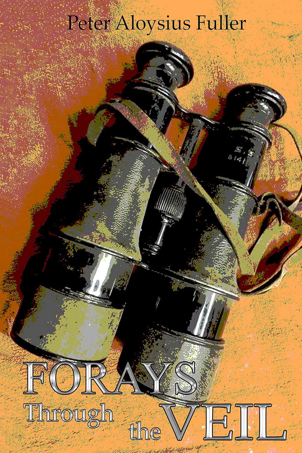 Forays Through the Veil poster