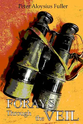 Forays Through the Veil poster