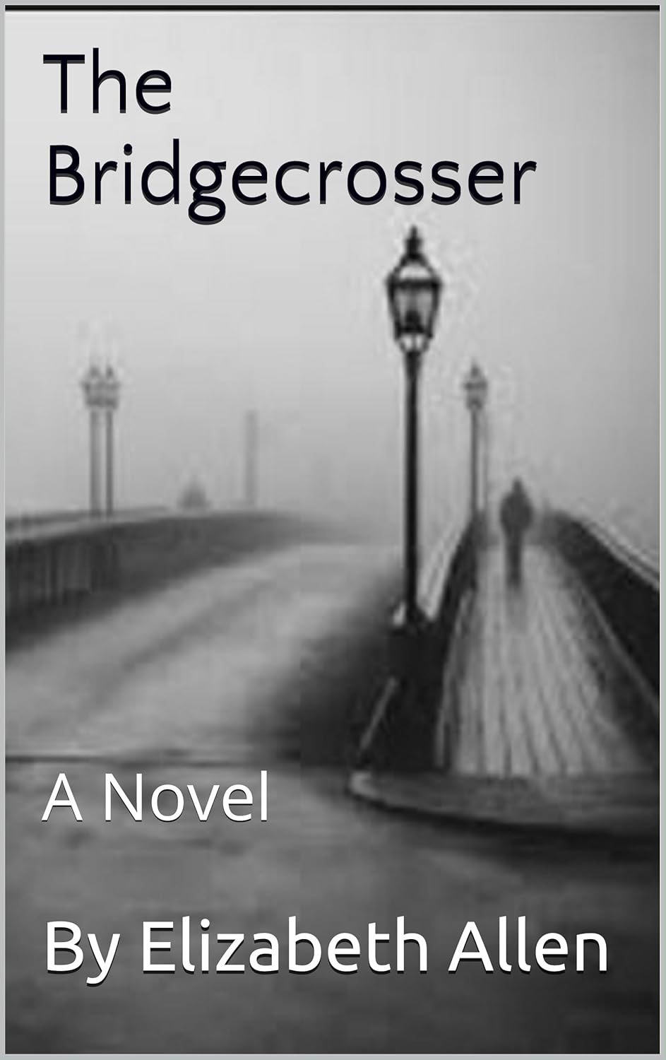 The Bridgecrosser: A Novel poster