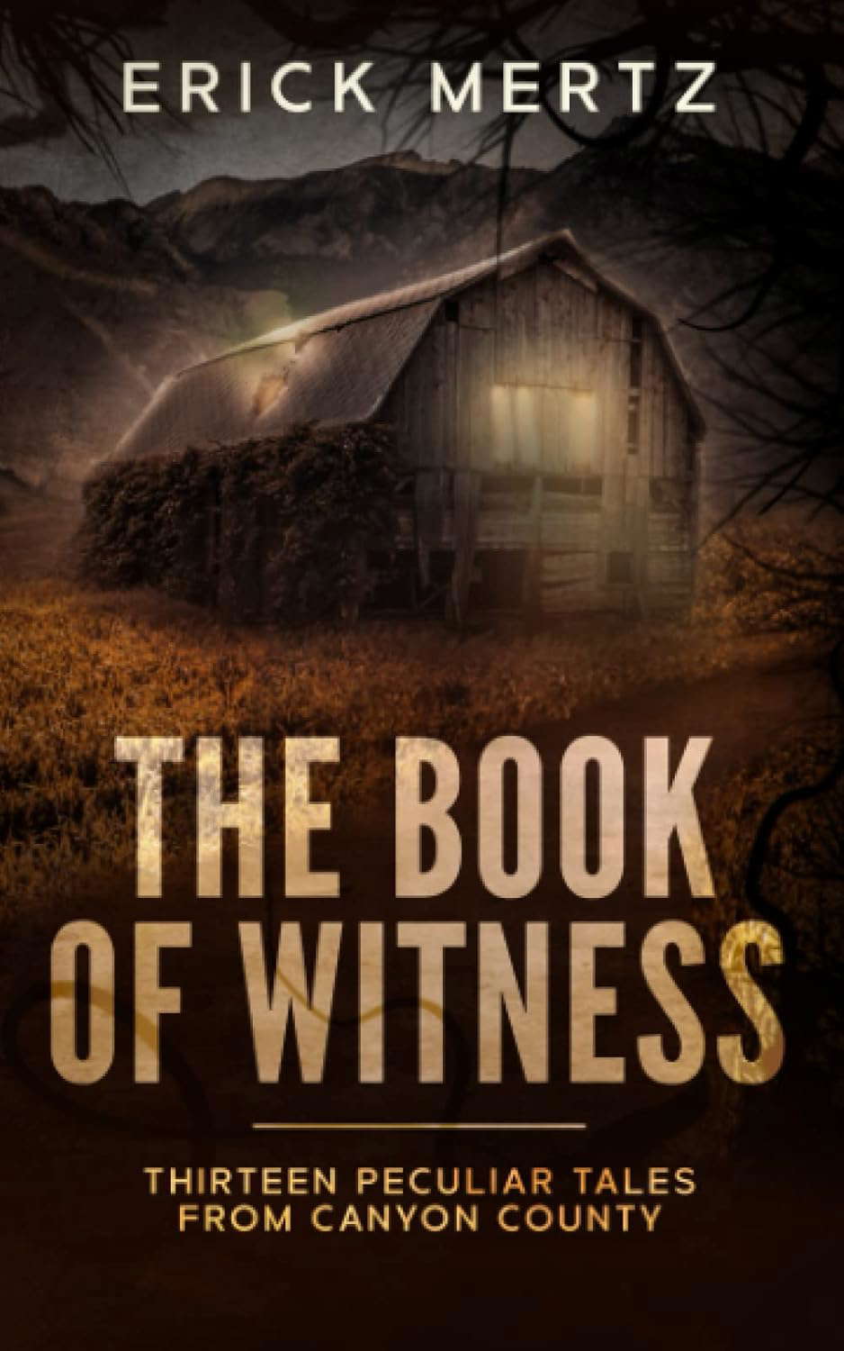The Book Of Witness: A Paranormal Mystery Collection (The Strange Air) poster