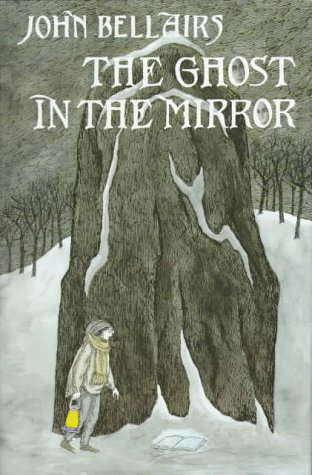 The Ghost in the Mirror poster