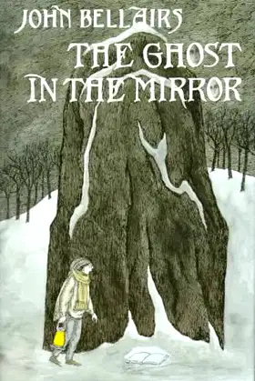 The Ghost in the Mirror poster