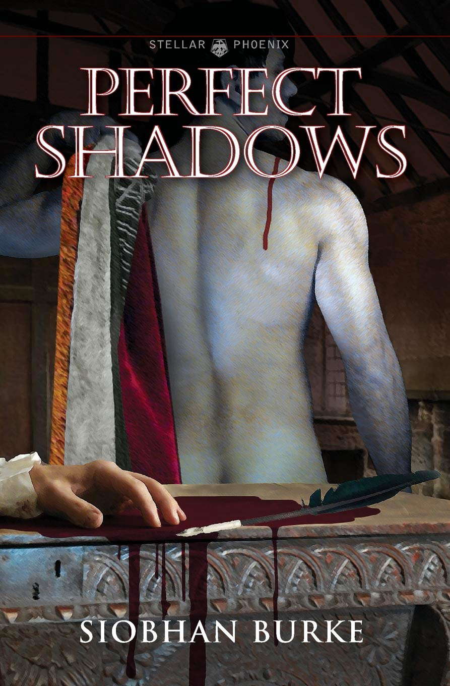 Perfect Shadows poster
