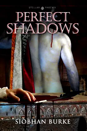 Perfect Shadows poster