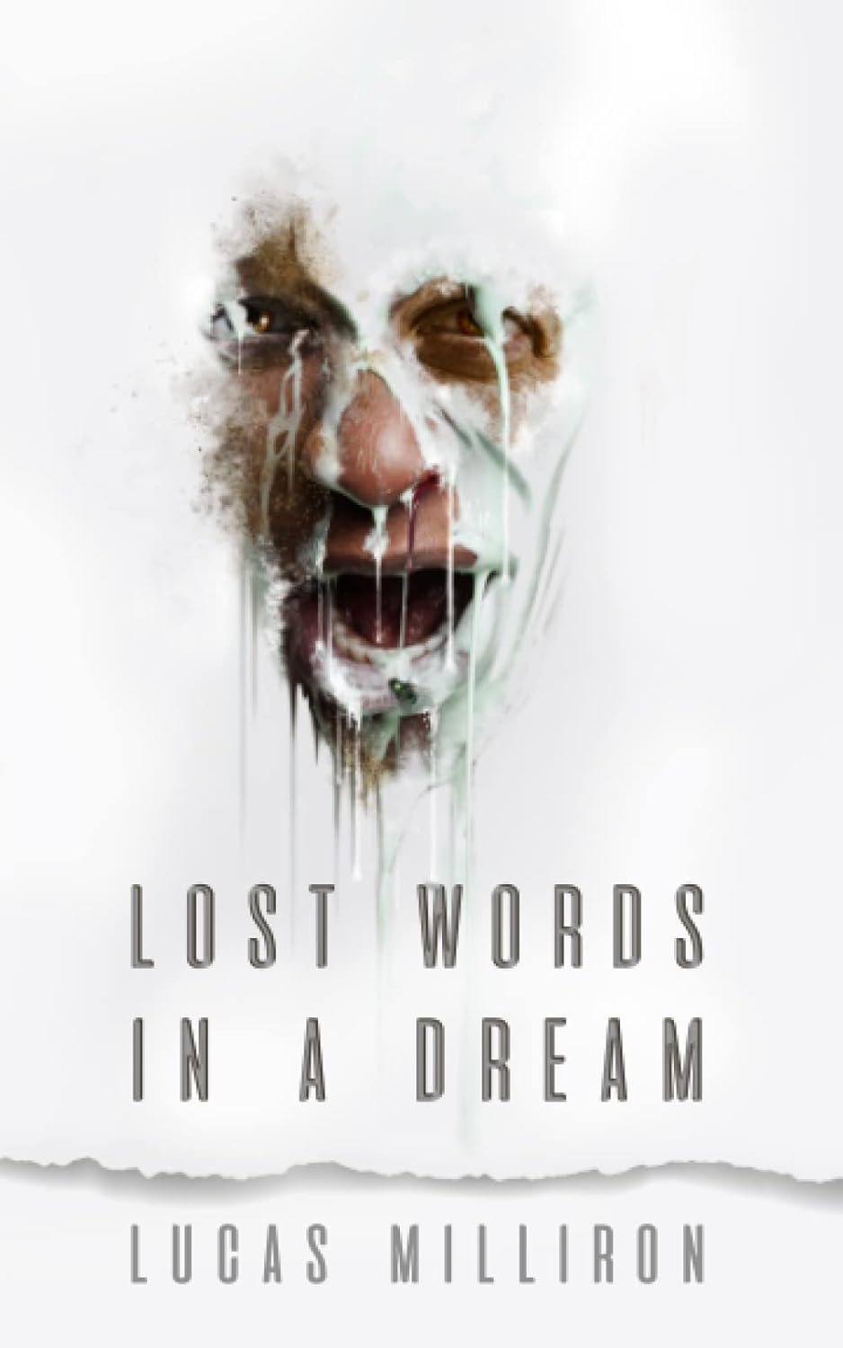 Lost Words In a Dream poster