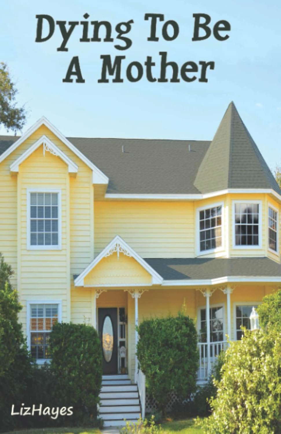 Dying to be a Mother poster