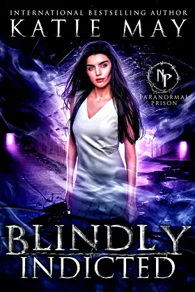 Blindly Indicted (Out of Sight Book 1) poster