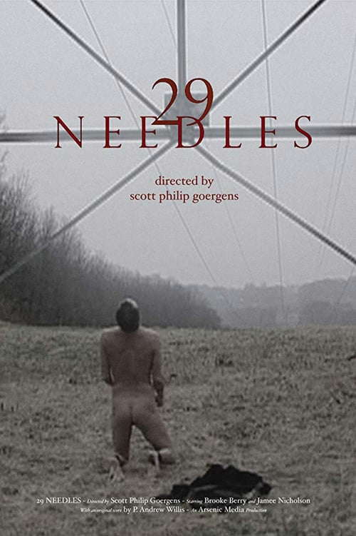 29 Needles poster