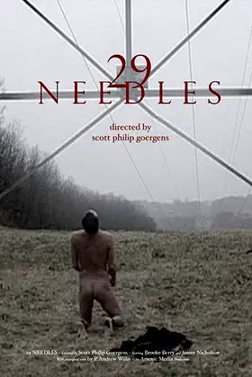 29 Needles poster