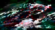 episode poster