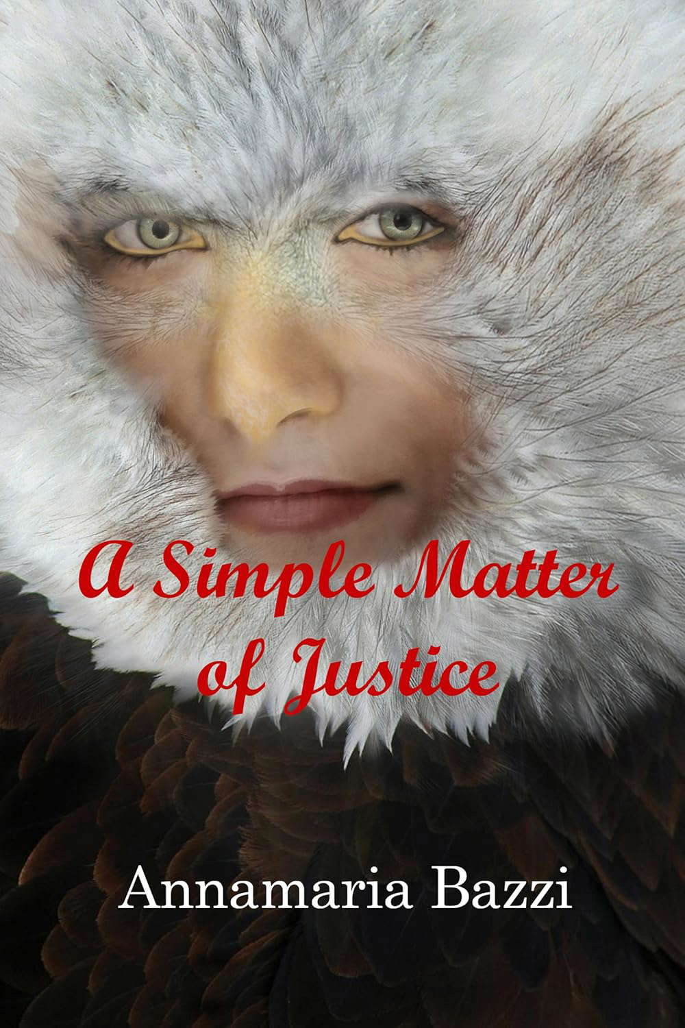A Simple Matter of Justice poster