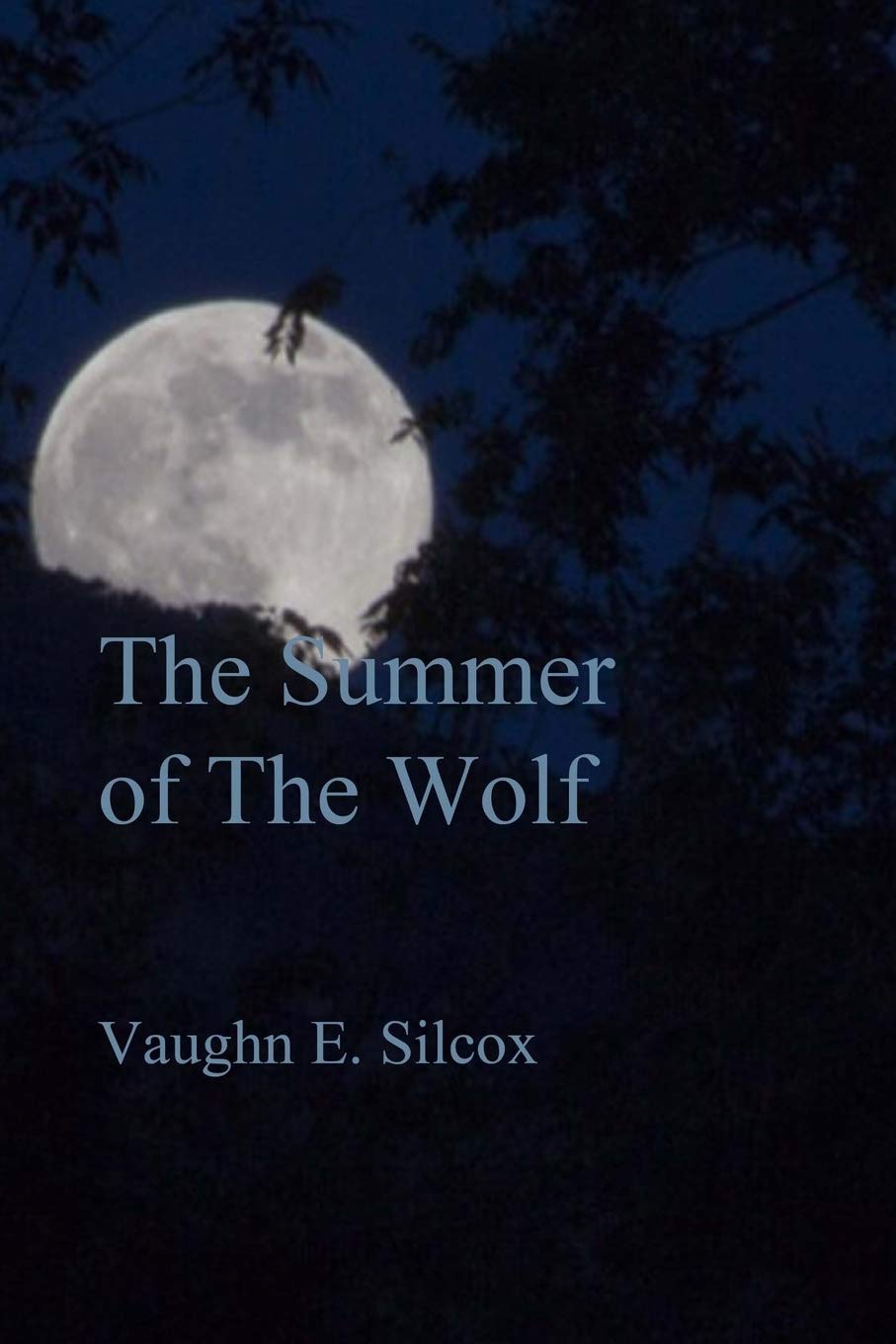 Summer of the Wolf poster