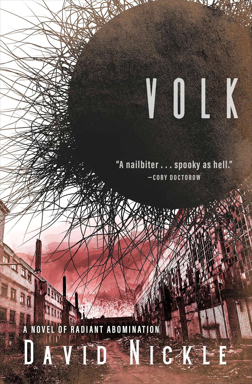 Volk: A Novel of Radiant Abomination (The Book of the Juke Series 2) poster