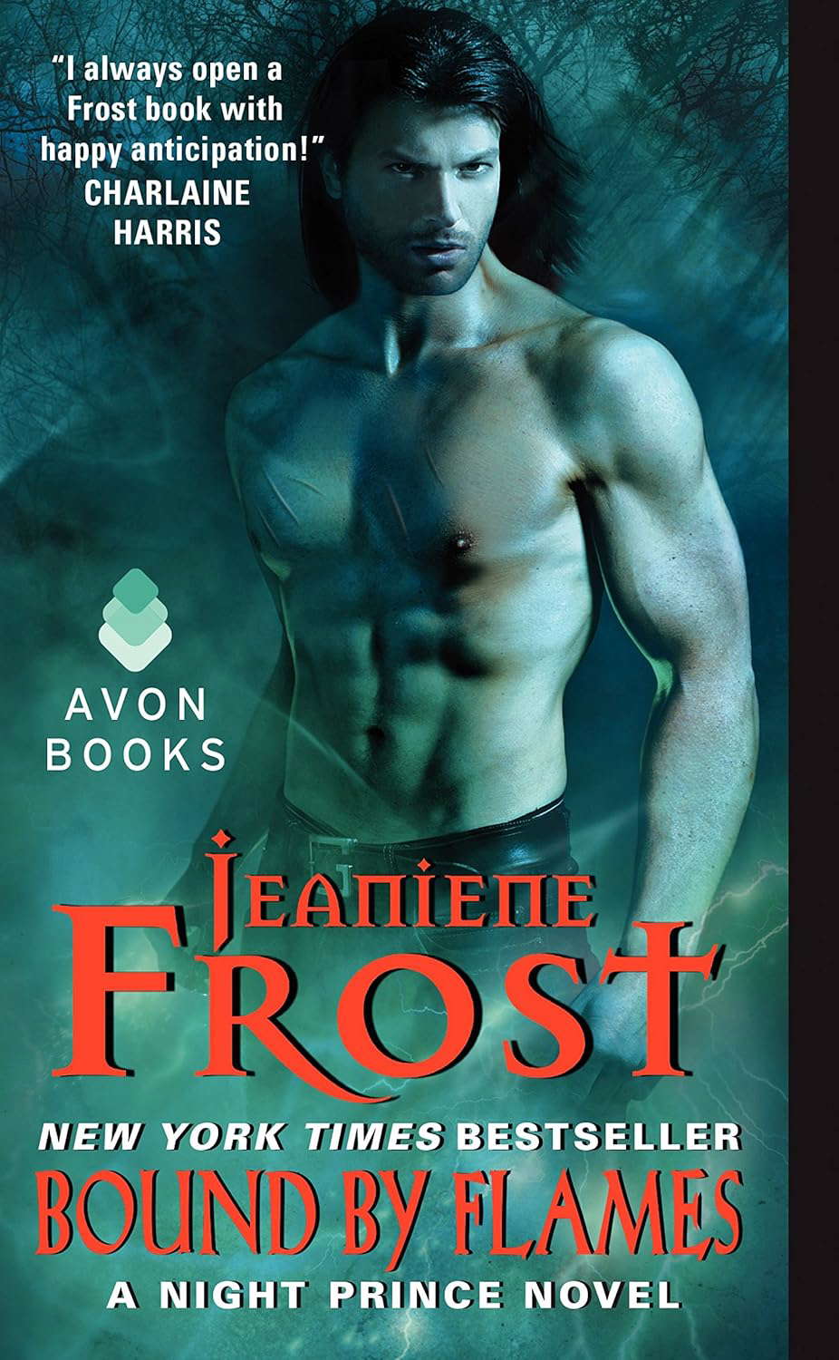 Bound by Flames: A Night Prince Novel (Night Prince, 3) poster