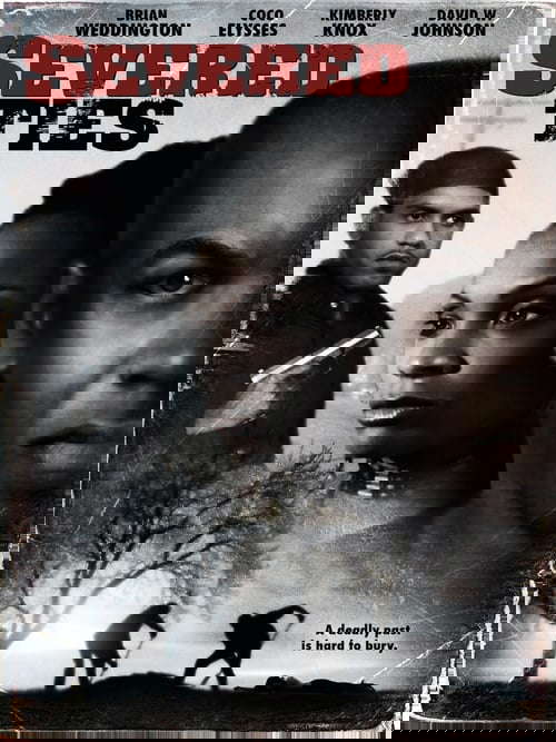 Severed Ties poster